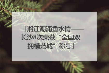 湘江潮涌鱼水情——长沙8次荣获“全国双拥模范城”称号