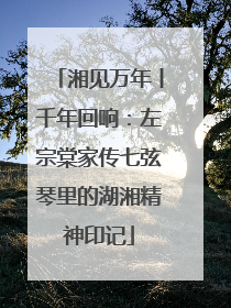 湘见万年丨千年回响：左宗棠家传七弦琴里的湖湘精神印记