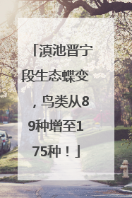 滇池晋宁段生态蝶变，鸟类从89种增至175种！