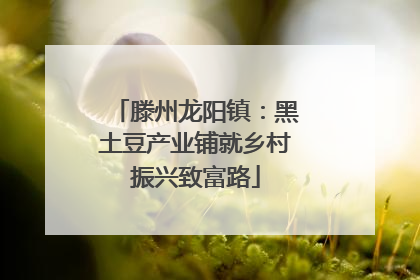滕州龙阳镇：黑土豆产业铺就乡村振兴致富路