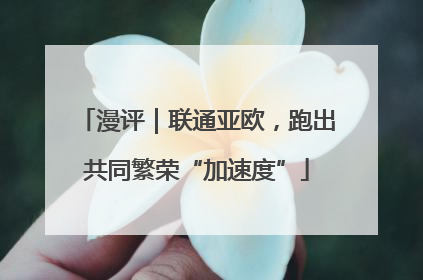 漫评｜联通亚欧，跑出共同繁荣“加速度”