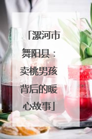 漯河市舞阳县：卖桃男孩背后的暖心故事