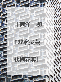 菏泽一柳子戏演员荣获梅花奖