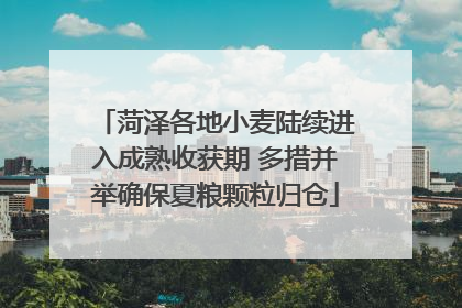 菏泽各地小麦陆续进入成熟收获期 多措并举确保夏粮颗粒归仓