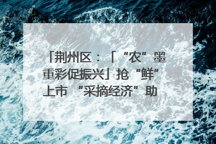 荆州区：「“农”墨重彩促振兴」抢“鲜”上市 “采摘经济”助农“甜蜜增收”
