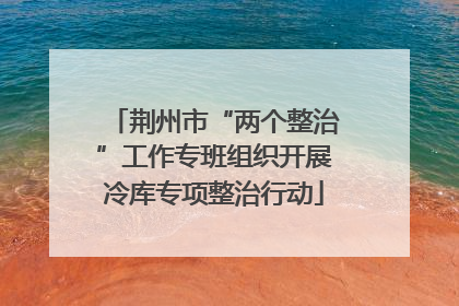 荆州市“两个整治”工作专班组织开展冷库专项整治行动