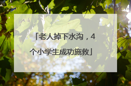 老人掉下水沟，4个小学生成功施救