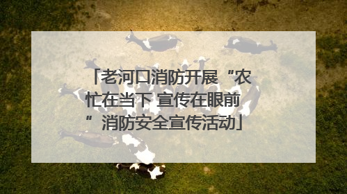 老河口消防开展“农忙在当下 宣传在眼前”消防安全宣传活动