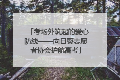 考场外筑起的爱心防线——向日葵志愿者协会护航高考