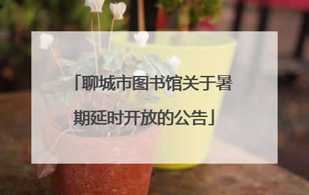 聊城市图书馆关于暑期延时开放的公告
