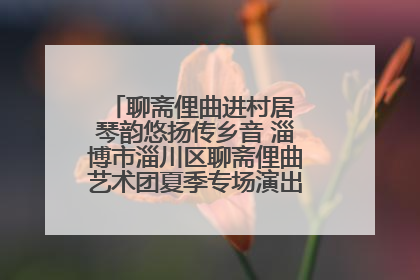 聊斋俚曲进村居 琴韵悠扬传乡音 淄博市淄川区聊斋俚曲艺术团夏季专场演出在杏园子村举行
