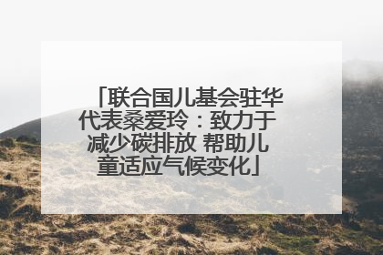 联合国儿基会驻华代表桑爱玲：致力于减少碳排放 帮助儿童适应气候变化