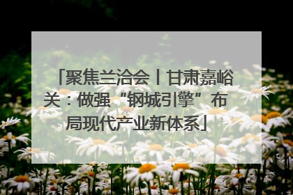聚焦兰洽会丨甘肃嘉峪关：做强“钢城引擎”布局现代产业新体系