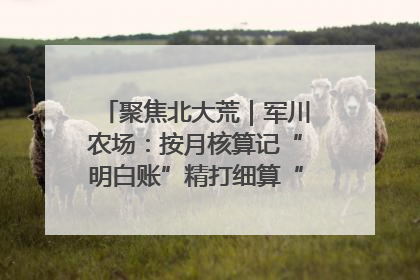 聚焦北大荒｜军川农场：按月核算记“明白账”精打细算“过紧日子”