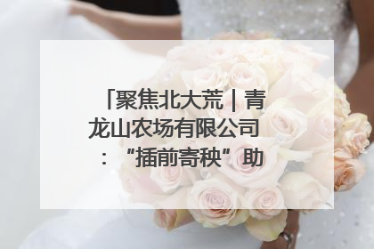 聚焦北大荒｜青龙山农场有限公司：“插前寄秧”助力农业节本增效