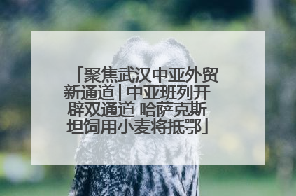 聚焦武汉中亚外贸新通道│中亚班列开辟双通道 哈萨克斯坦饲用小麦将抵鄂