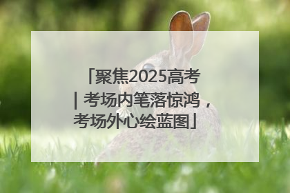聚焦2025高考｜考场内笔落惊鸿，考场外心绘蓝图