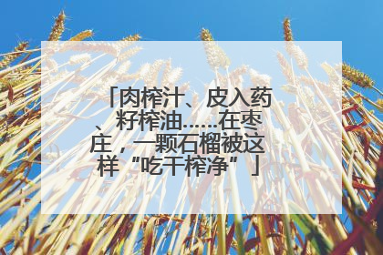肉榨汁、皮入药、籽榨油……在枣庄，一颗石榴被这样“吃干榨净”
