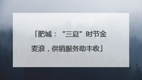 肥城：“三夏”时节金麦浪，供销服务助丰收