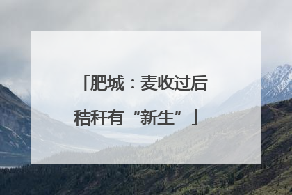 肥城：麦收过后秸秆有“新生”