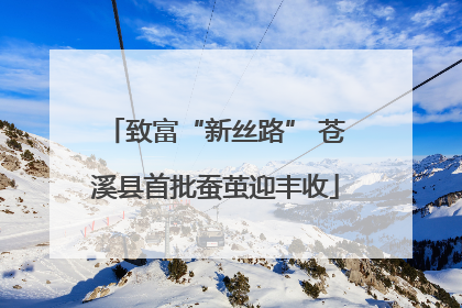 致富“新丝路” 苍溪县首批蚕茧迎丰收