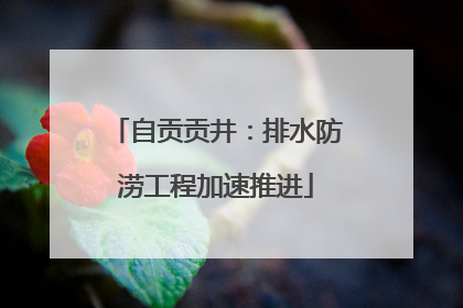 自贡贡井：排水防涝工程加速推进
