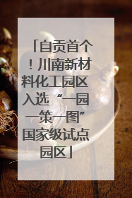 自贡首个！川南新材料化工园区入选“一园一策一图”国家级试点园区