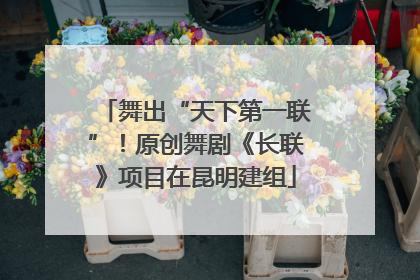 舞出“天下第一联”！原创舞剧《长联》项目在昆明建组