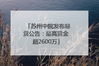 苏州中院发布悬赏公告：最高赏金超2600万