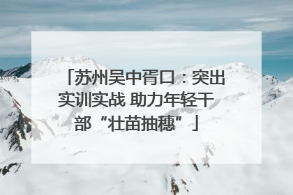 苏州吴中胥口：突出实训实战 助力年轻干部“壮苗抽穗”