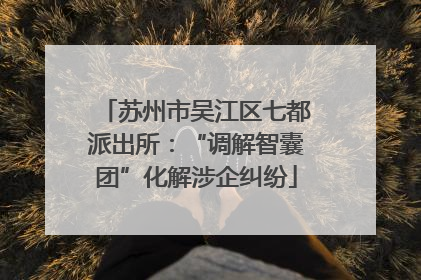 苏州市吴江区七都派出所：“调解智囊团”化解涉企纠纷