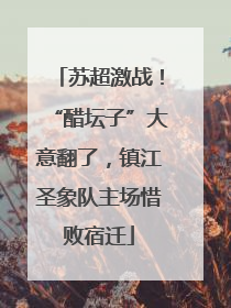 苏超激战！“醋坛子”大意翻了，镇江圣象队主场惜败宿迁