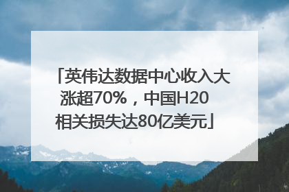 英伟达数据中心收入大涨超70%，中国H20相关损失达80亿美元