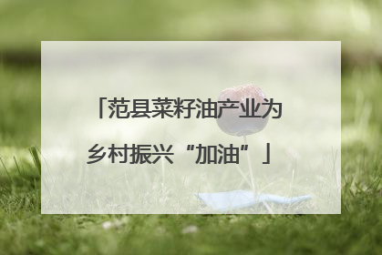 范县菜籽油产业为乡村振兴“加油”
