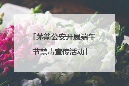 茅箭公安开展端午节禁毒宣传活动