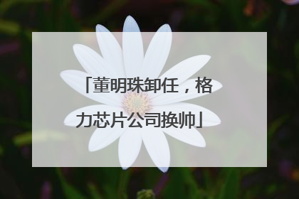 董明珠卸任，格力芯片公司换帅