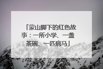 蒙山脚下的红色故事：一所小学、一盏茶碗、一匹病马