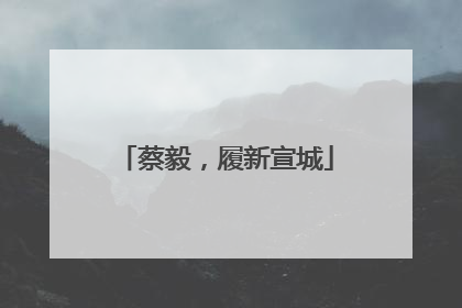 蔡毅，履新宣城