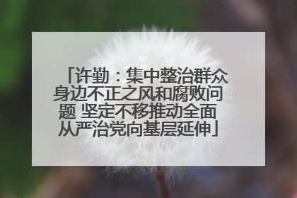 许勤：集中整治群众身边不正之风和腐败问题 坚定不移推动全面从严治党向基层延伸