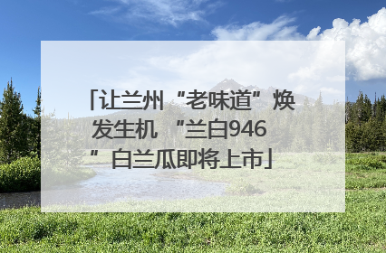 让兰州“老味道”焕发生机 “兰白946”白兰瓜即将上市