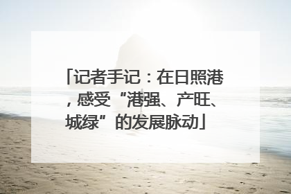 记者手记：在日照港，感受“港强、产旺、城绿”的发展脉动