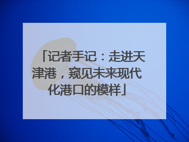 记者手记：走进天津港，窥见未来现代化港口的模样
