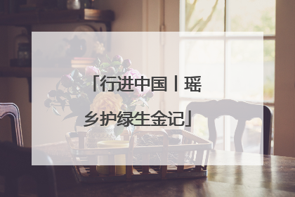 行进中国丨瑶乡护绿生金记