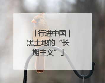 行进中国｜黑土地的“长期主义”