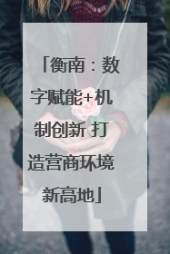 衡南：数字赋能+机制创新 打造营商环境新高地