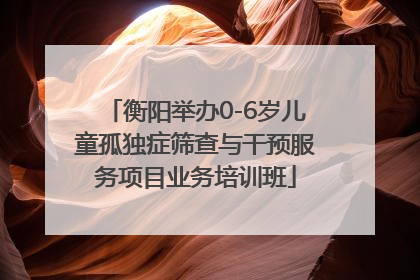 衡阳举办0-6岁儿童孤独症筛查与干预服务项目业务培训班