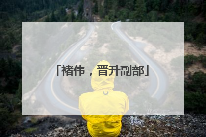 褚伟，晋升副部