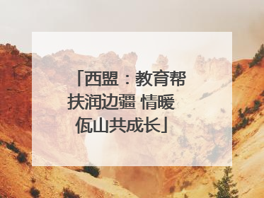 西盟：教育帮扶润边疆 情暖佤山共成长