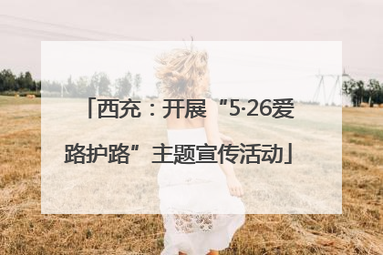 西充：开展“5·26爱路护路”主题宣传活动