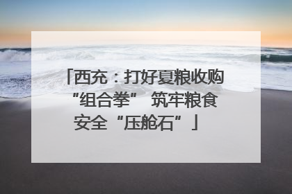 西充：打好夏粮收购“组合拳” 筑牢粮食安全“压舱石”